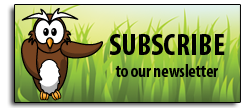 newsletter-subscribe